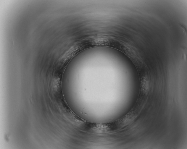 X0000103300278200809051529