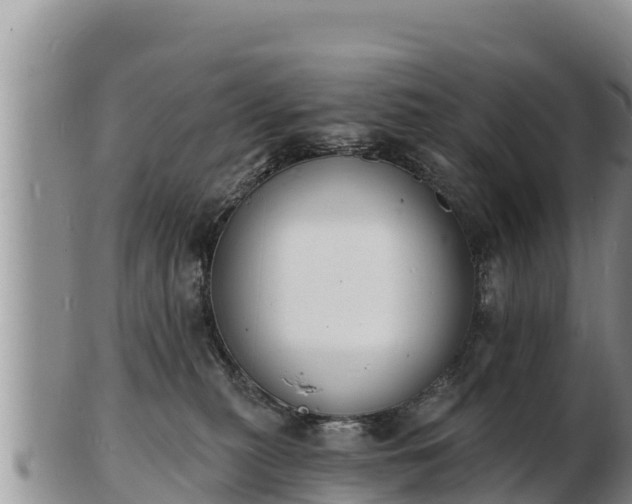 X0000103300279200809051529