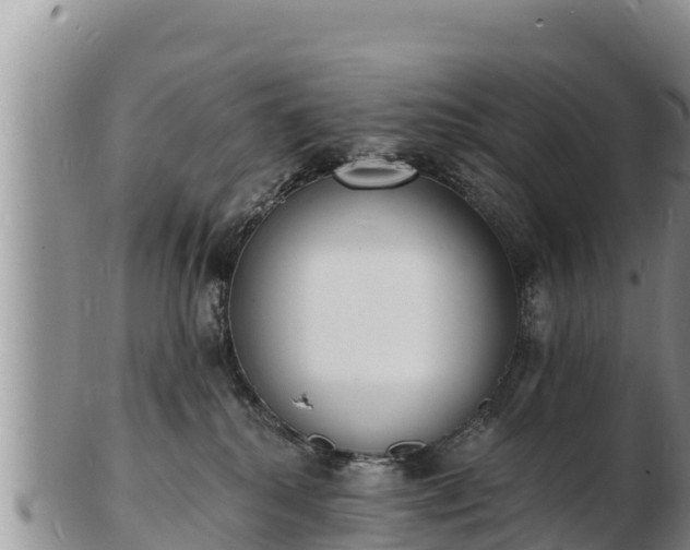 X0000103300280200809051529