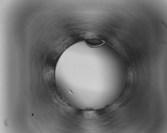 X0000103300281200809051529