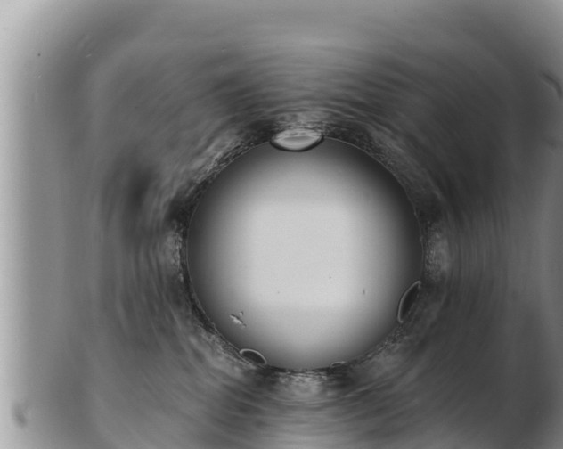 X0000103300282200809051529