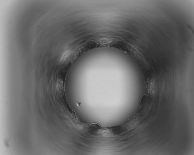 X0000103300283200809051529