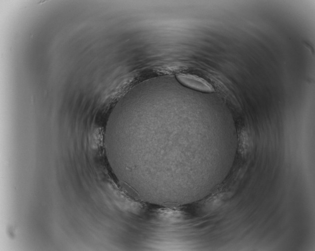 X0000103300284200809051529