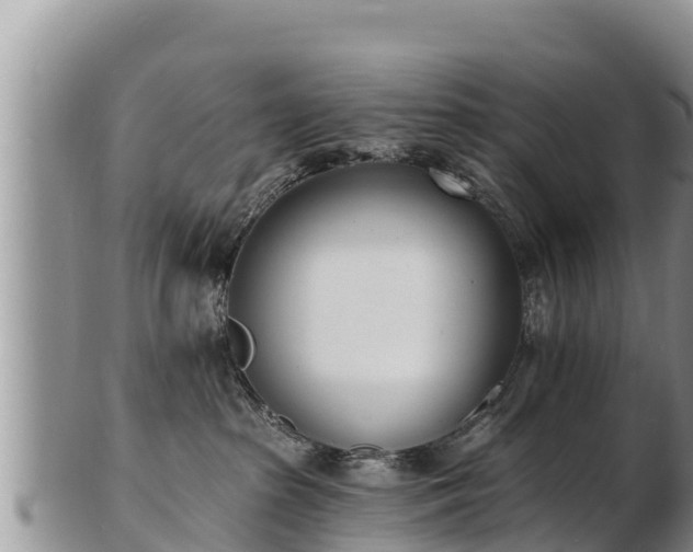 X0000103300285200809051529