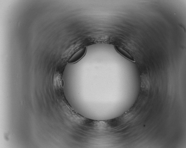 X0000103300287200809051529