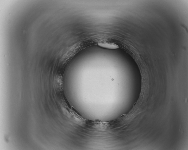 X0000103300288200809051530