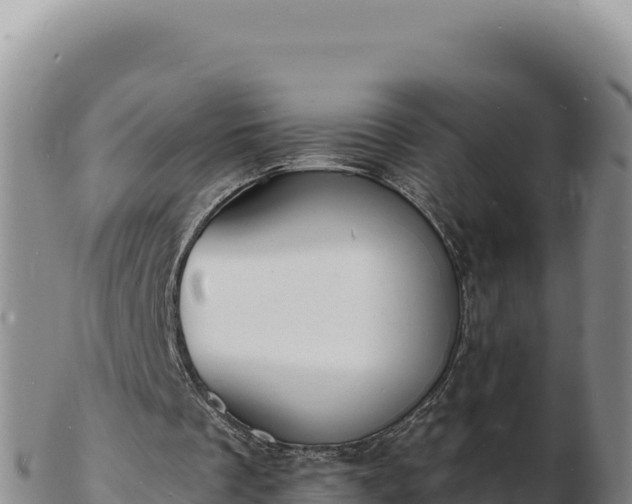 X0000103300289200809051529