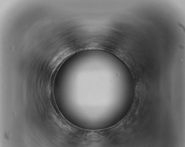 X0000103300290200809051529