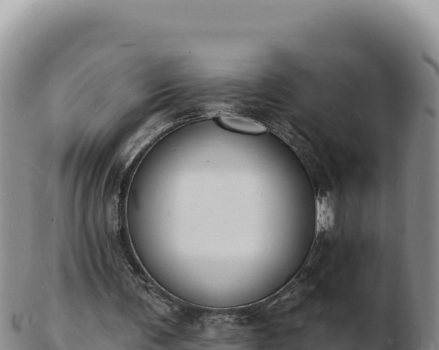 X0000103300291200809051529