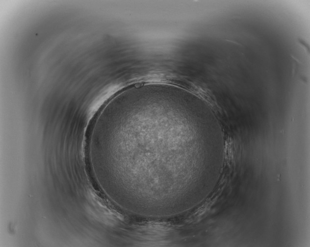 X0000103300292200809051529