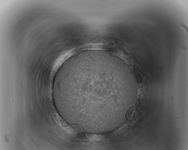 X0000103300293200809051529