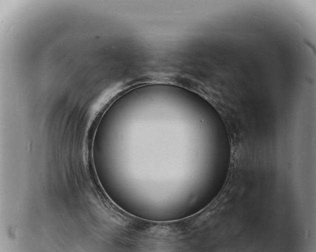 X0000103300294200809051529