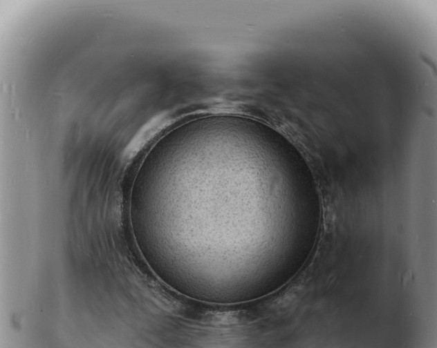 X0000103300295200809051529