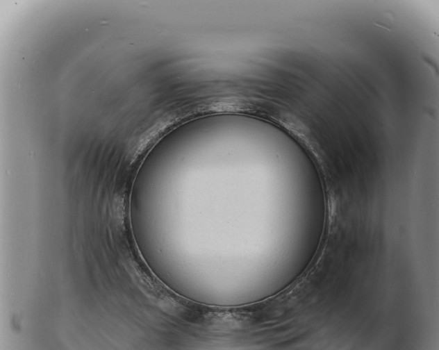 X0000103300297200809051529