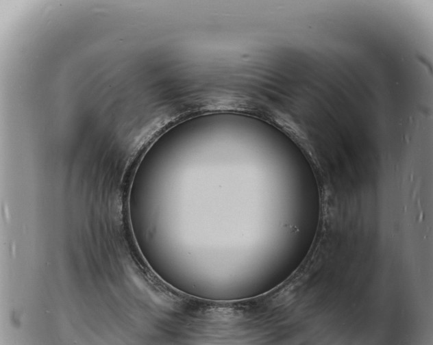 X0000103300298200809051529