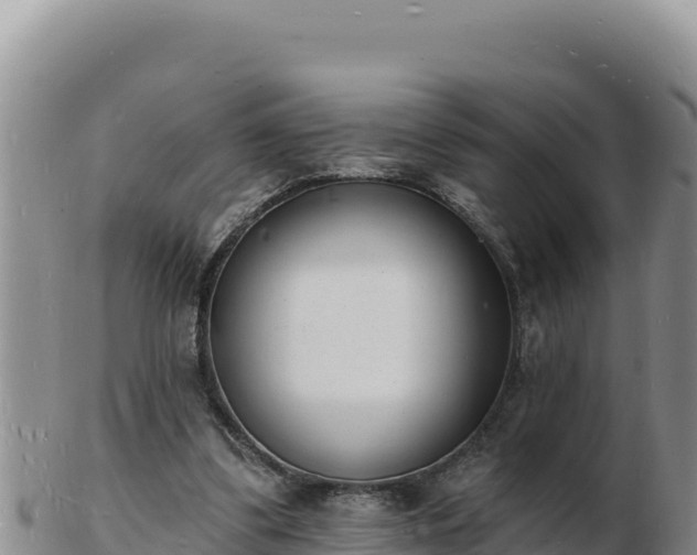 X0000103300299200809051528