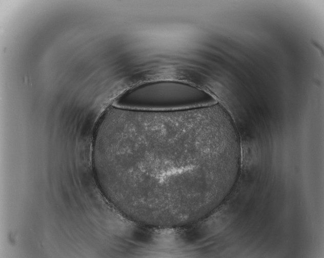 X0000103300301200809051528