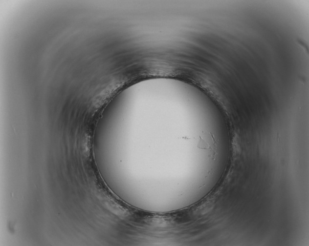 X0000103300305200809051528