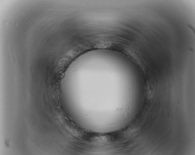 X0000103300307200809051528