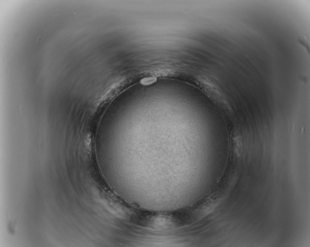 X0000103300308200809051528