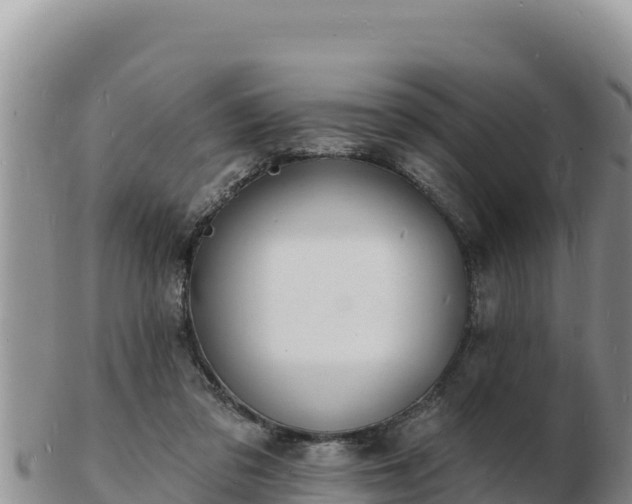 X0000103300309200809051528