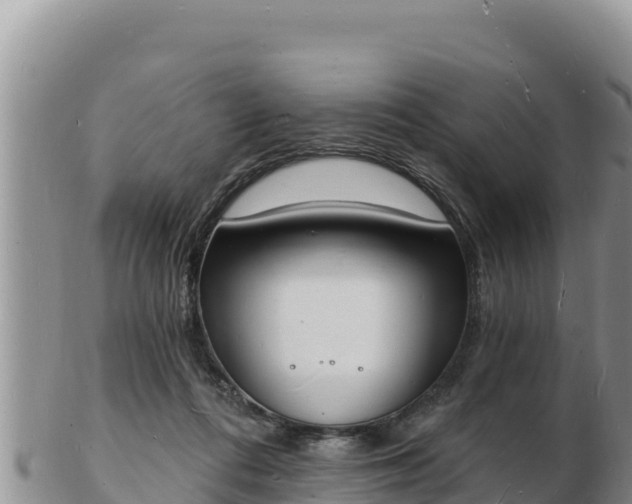 X0000103300312200809051528