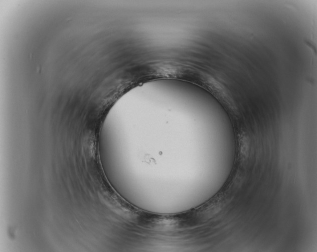 X0000103300313200809051528