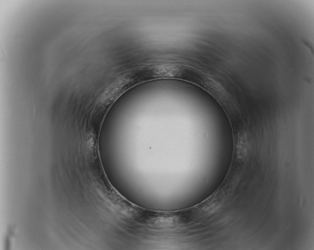 X0000103300314200809051528