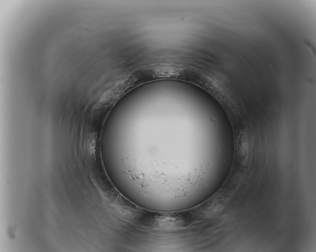 X0000103300315200809051528