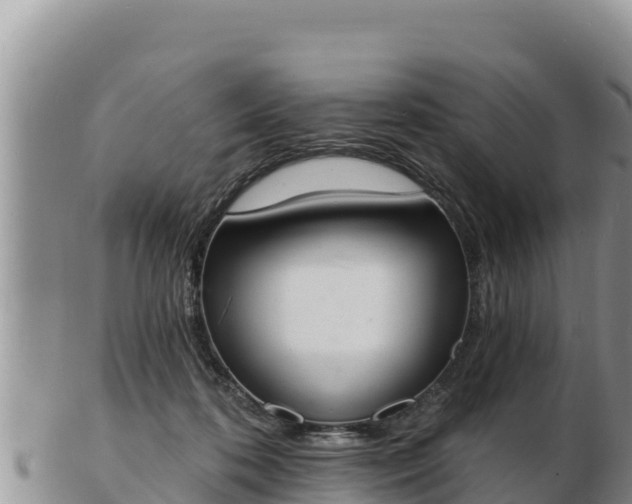 X0000103300316200809051528