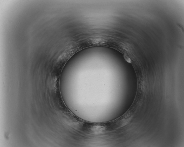 X0000103300319200809051528