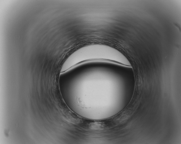 X0000103300320200809051528