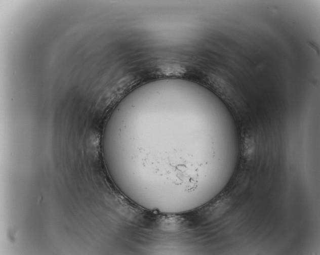 X0000103300321200809051528