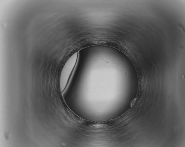 X0000103300323200809051528