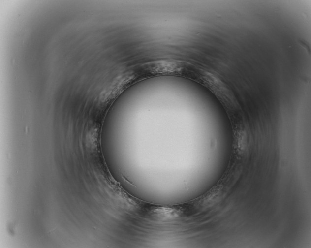 X0000103300326200809051528