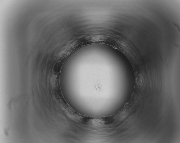 X0000103300327200809051528