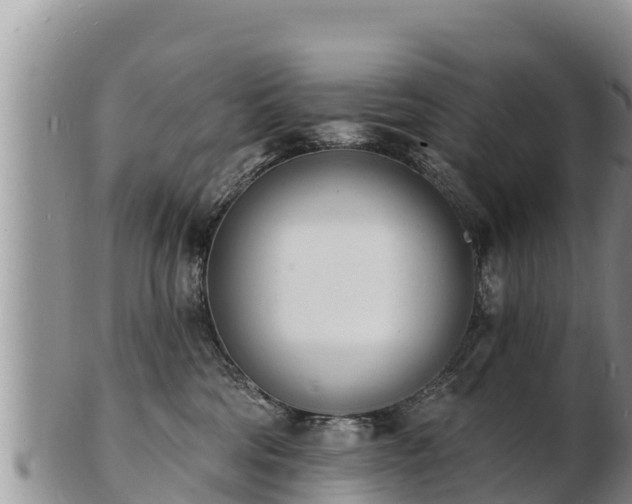 X0000103300330200809051528