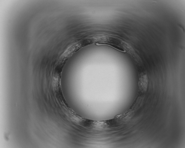 X0000103300333200809051528