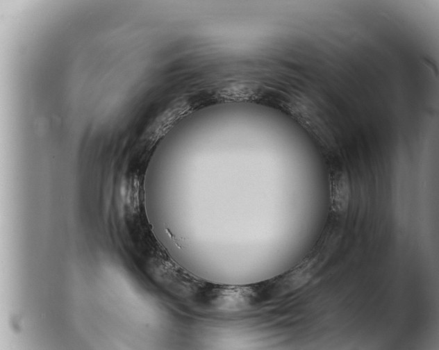 X0000103300334200809051528