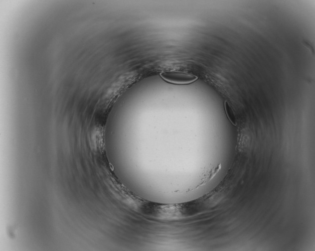 X0000103300335200809051528