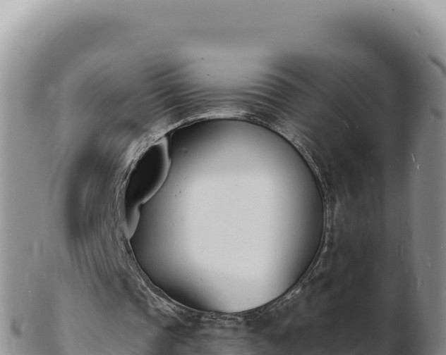 X0000103300337200809051527