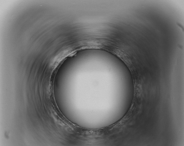 X0000103300338200809051527