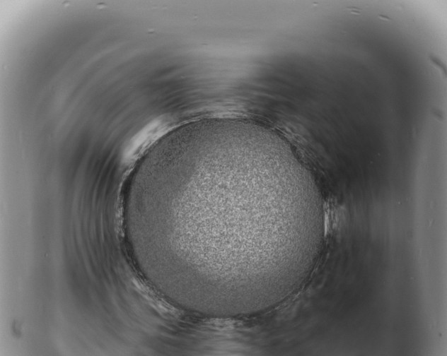 X0000103300339200809051527