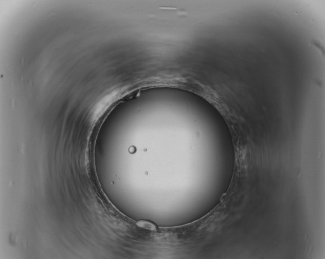 X0000103300340200809051527