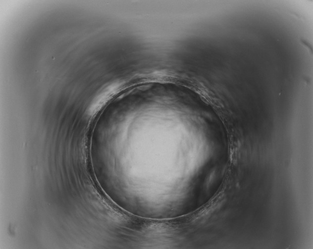 X0000103300341200809051527