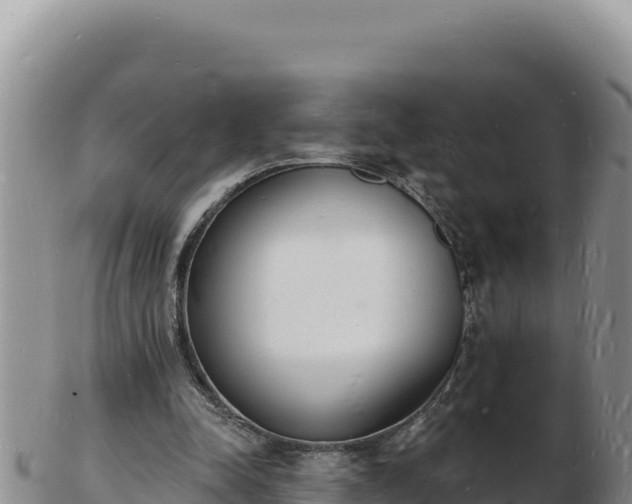 X0000103300342200809051527