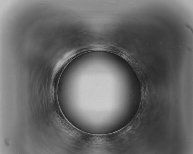 X0000103300343200809051527