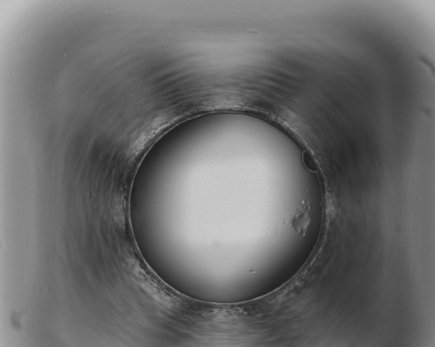 X0000103300345200809051527