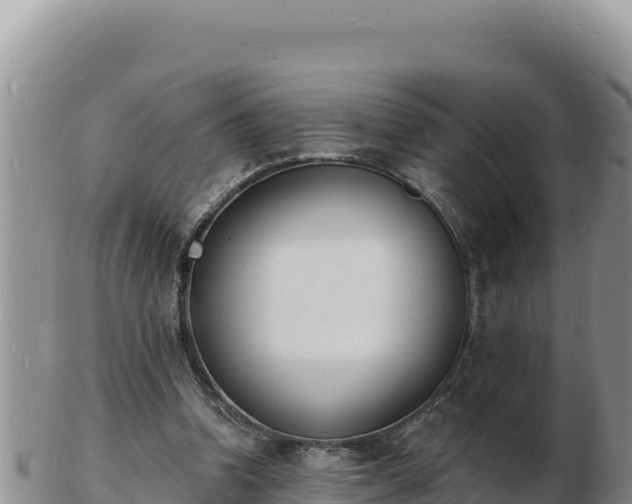 X0000103300346200809051527