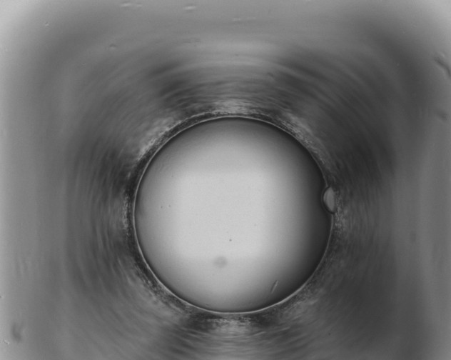 X0000103300347200809051527